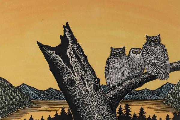 しまふくろうのみずうみ