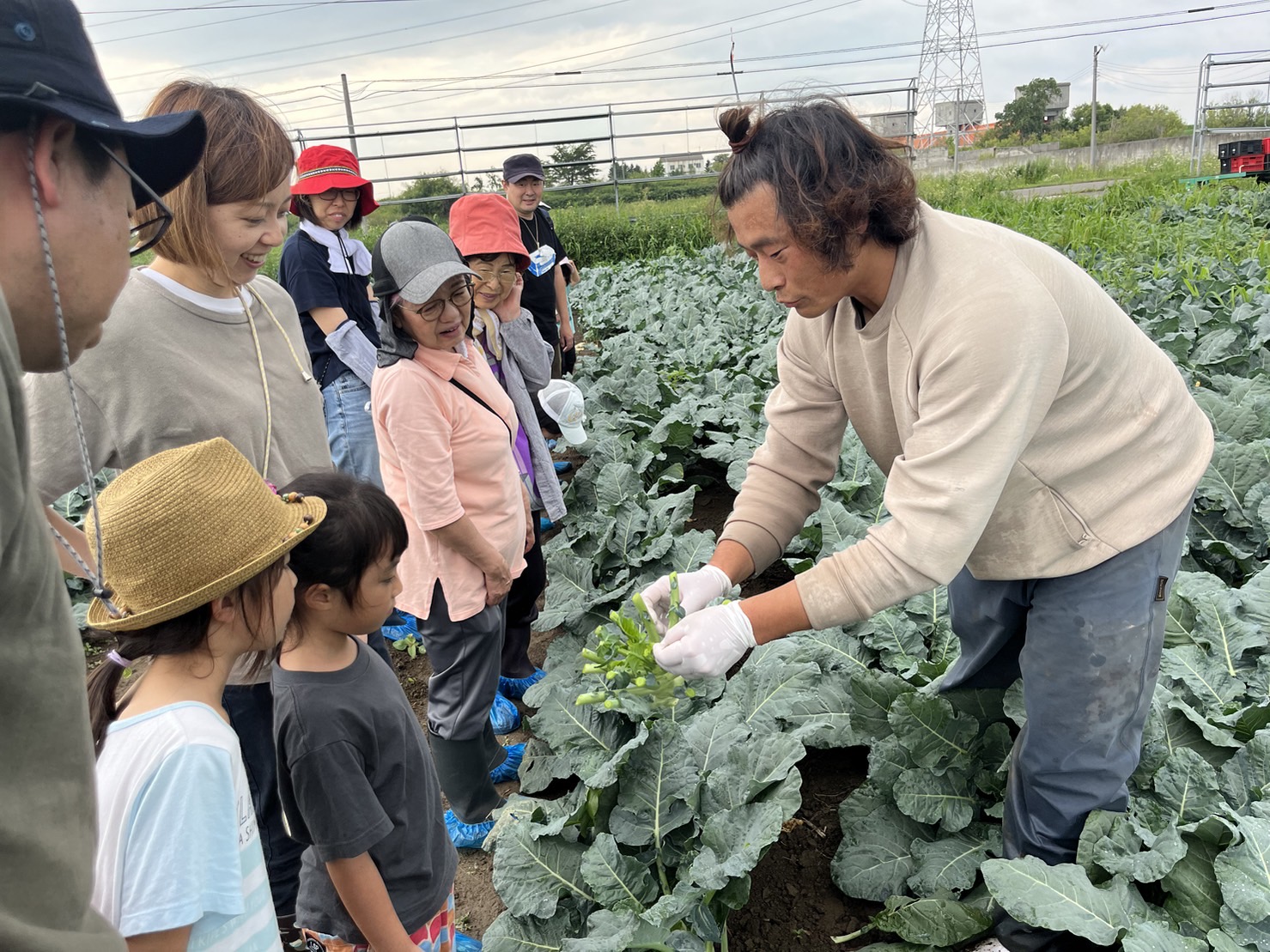 野菜収穫体験