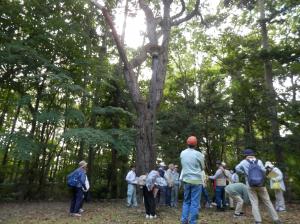 湯川公園　タンバグリ