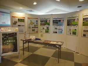 縄文　パネル展