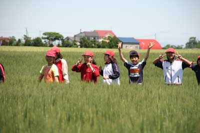 写真：農業体験をする子供たち